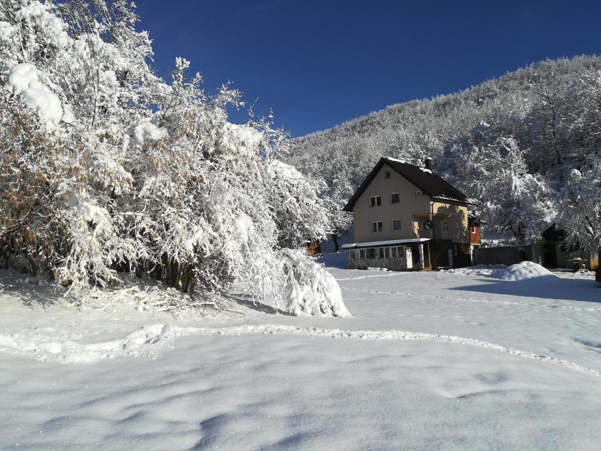 Rafting Camp Apartments Montenegro Goran Lekovic Žabljak Eksteriør bilde