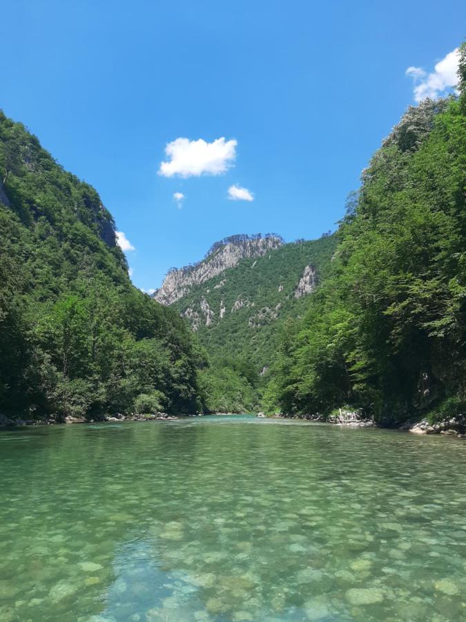 Rafting Camp Apartments Montenegro Goran Lekovic Žabljak Eksteriør bilde